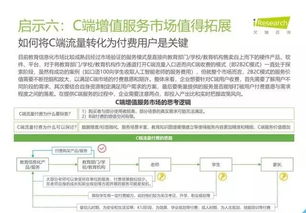 2019年中國教育信息化行業(yè)報告 信息技術(shù)咨詢服務
